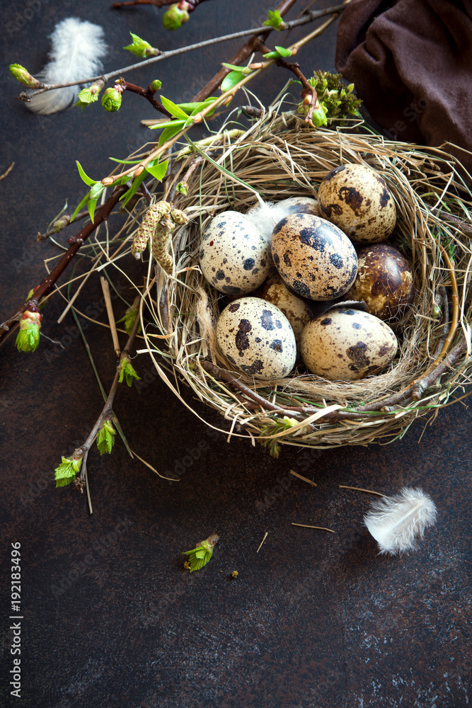 Obraz premium Easter Eggs in Nest