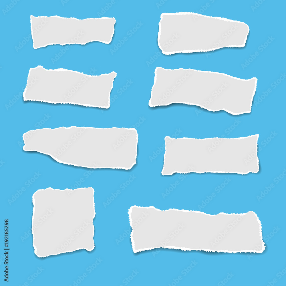Ripped paper. Vector of ripped paper. the paper was ripped background.