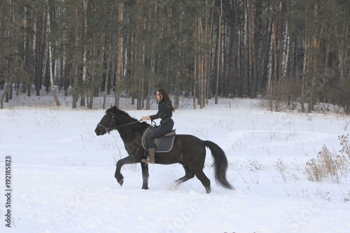 Woman on black horse in snowy forest