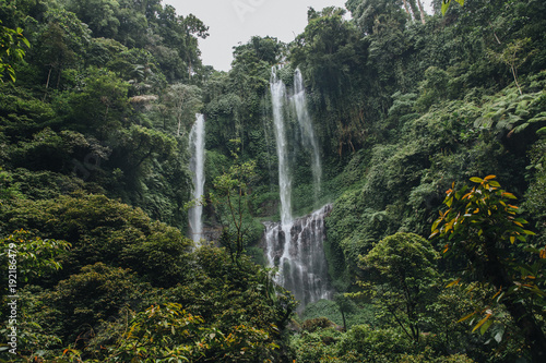 beautiful landscape with green trees and majestic waterfall Sekumpul  Bali