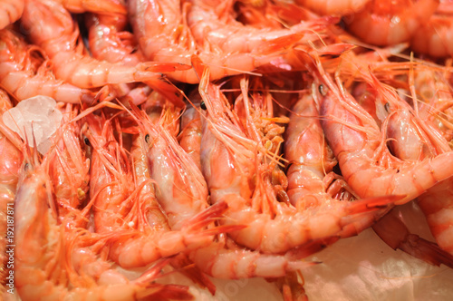 fresh shrimp on market