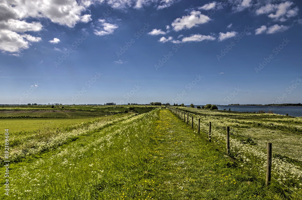 Long straight dike lined with a fence and covered with grass, cow parsley and other vegetation in an extremely flat landscape on the nature island of Tiengemeten, the Netherlands