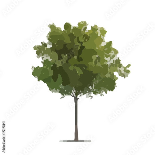 Vector Illustration of Tree