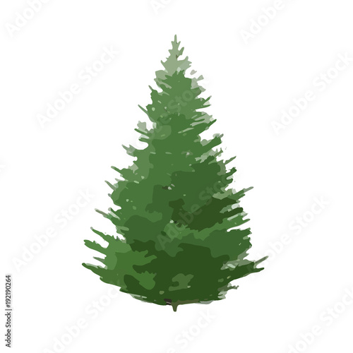 Vector Illustration of Tree