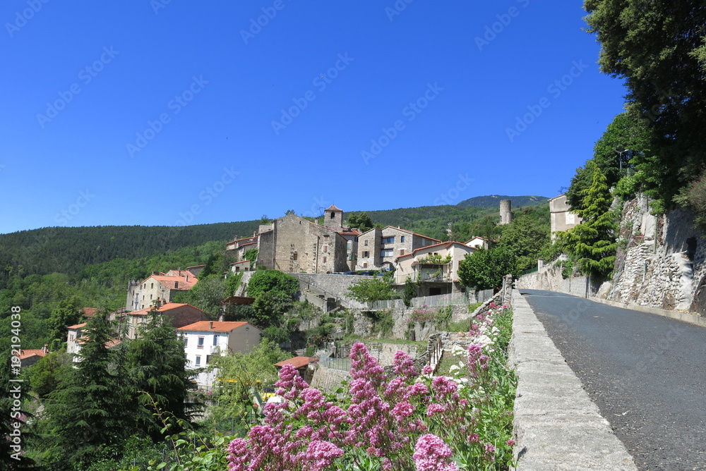 Obraz premium Village de montagne avec des fleurs