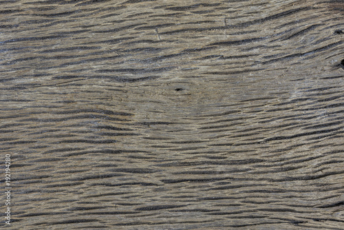 Wood texture background. wood texture for design and decoration. Wood texture for copy space. wooden for text.