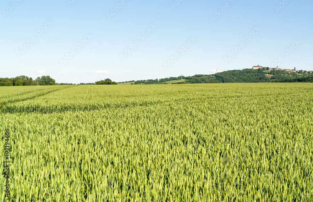 spring time around Waldenburg