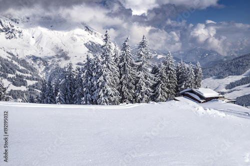 Wallpaper Mural Verschneite Hütte im Skigebiet Torontodigital.ca