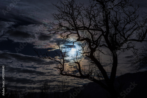 Sonne/Mond durch Wolken mit Baum