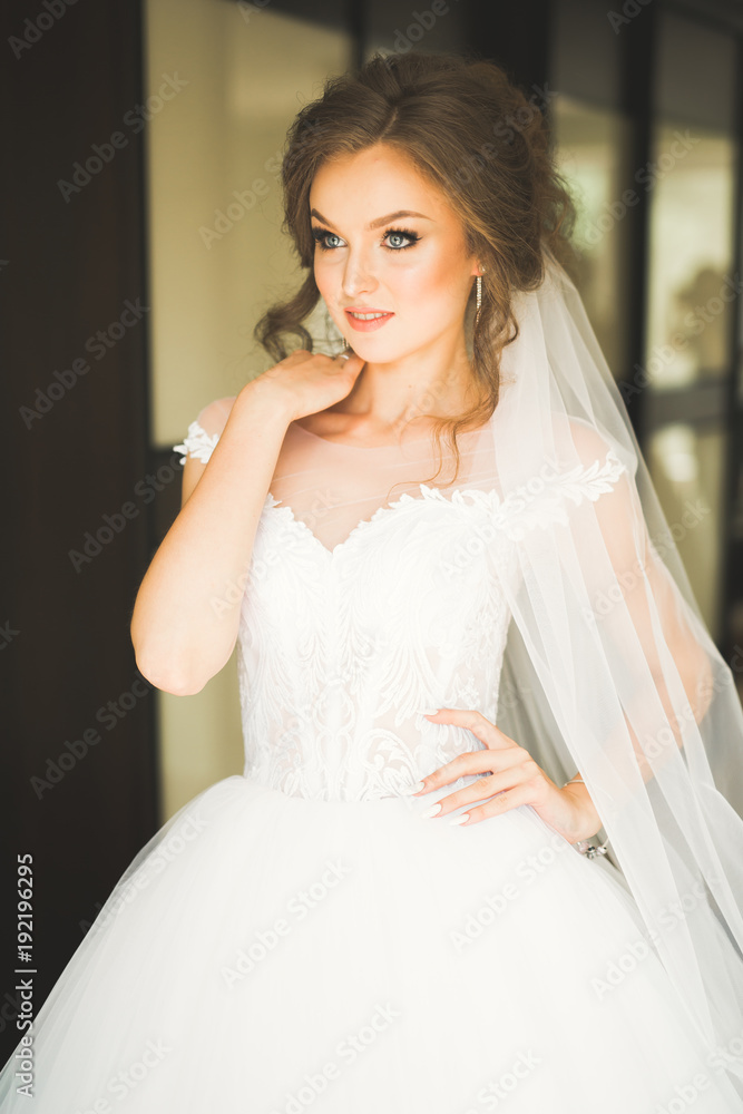 Portrait of beautiful bride with fashion veil at wedding morning Portrait of beautiful bride with fashion veil at wedding morning