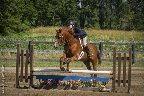 Woman and chestnut gelding over plank jump