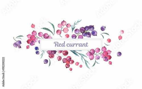 Frame of currant berries on white background