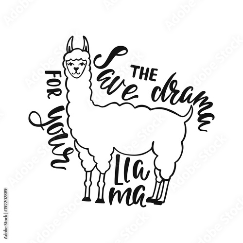 Save the drama for your llama. Hand drawn inspiration quote about happiness with lama. Typography design.