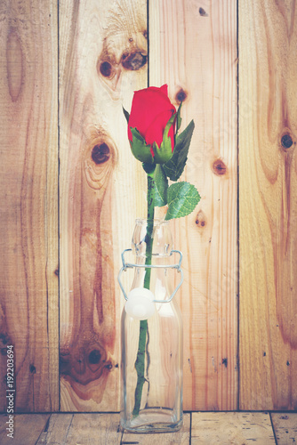 vintage rose flower for use