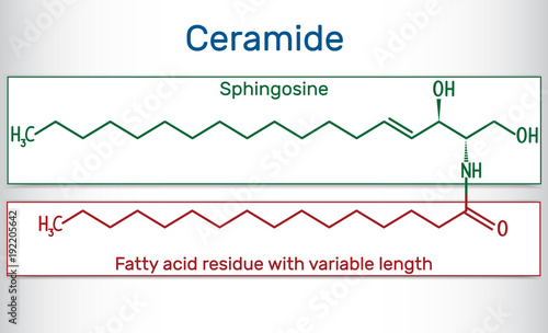 Ceramide molecule ,  is composed of sphingosine and a fatty acid. Structural chemical formula