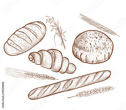  bread vector illustration. 