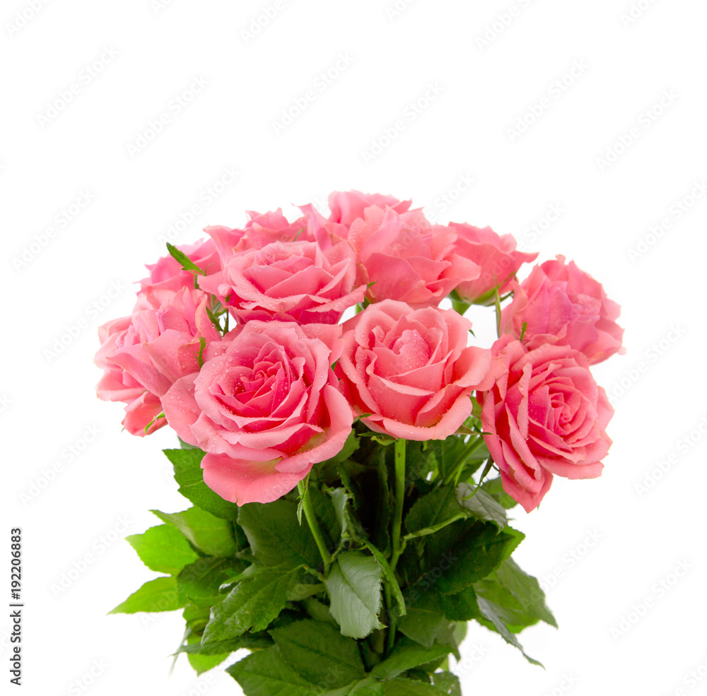 Pink roses bouquet isolated. Pink roses bouquet isolated.