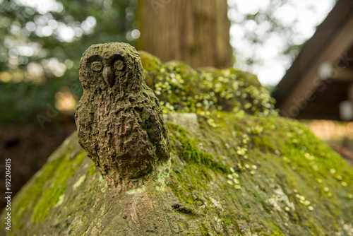 Close-up detail of an ancient owl statue carved from stone covered in moss and lichen decorates the roof of a Shinto Shrine. Takachiho, Miyazaki, Japan. Travel and religious architecture concept