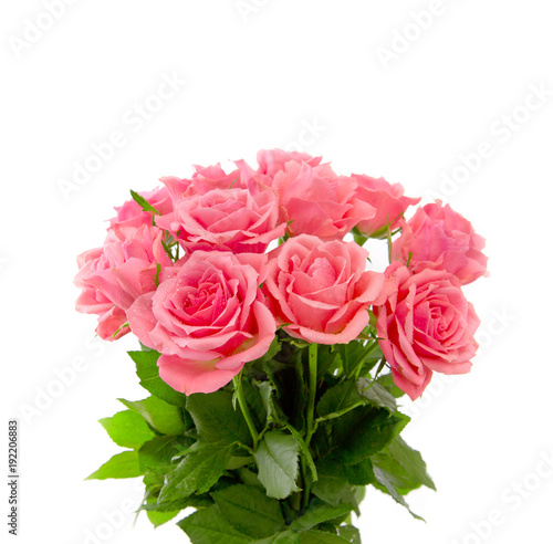 Pink roses bouquet isolated.