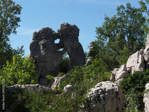 Bär und Löwe, Felsformation im Bois de Paiolive, Südfrankreich