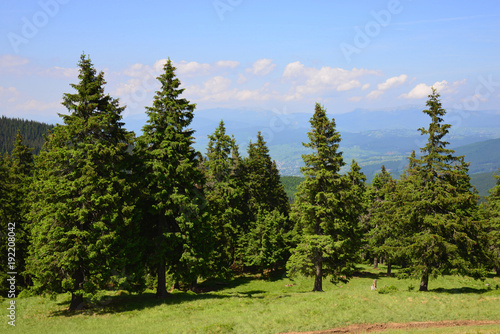 Summer landscape in the Chornohora region of Carpathian mountains, Ukraine