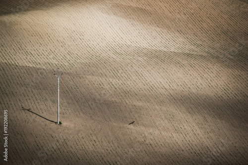 gray spring field abstract background photo