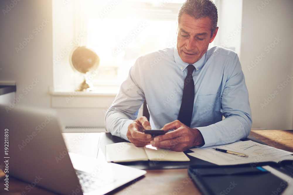 Mature businessman sitting at an office desk using a cellphone Mature businessman sitting at an office desk using a cellphone