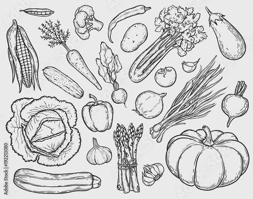 vegetables set