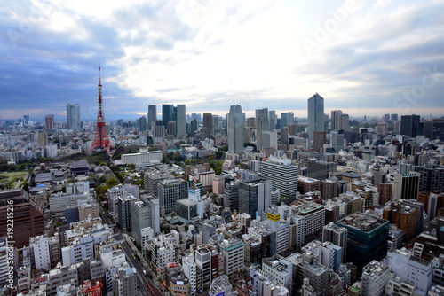 Bird eye view of city in Tokyo Japan . photo