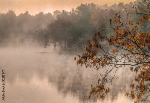 Wallpaper Mural Foggy morning Torontodigital.ca