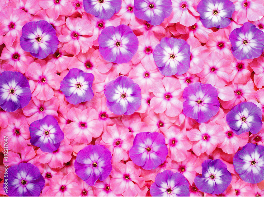 Colorful flower bouquet, flowers background