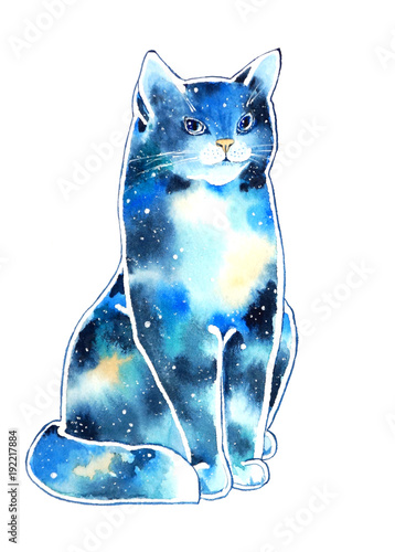 decorative cat with space coloring photo