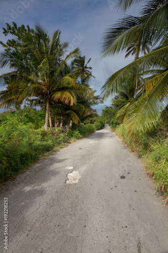 Tropical Island Road Way