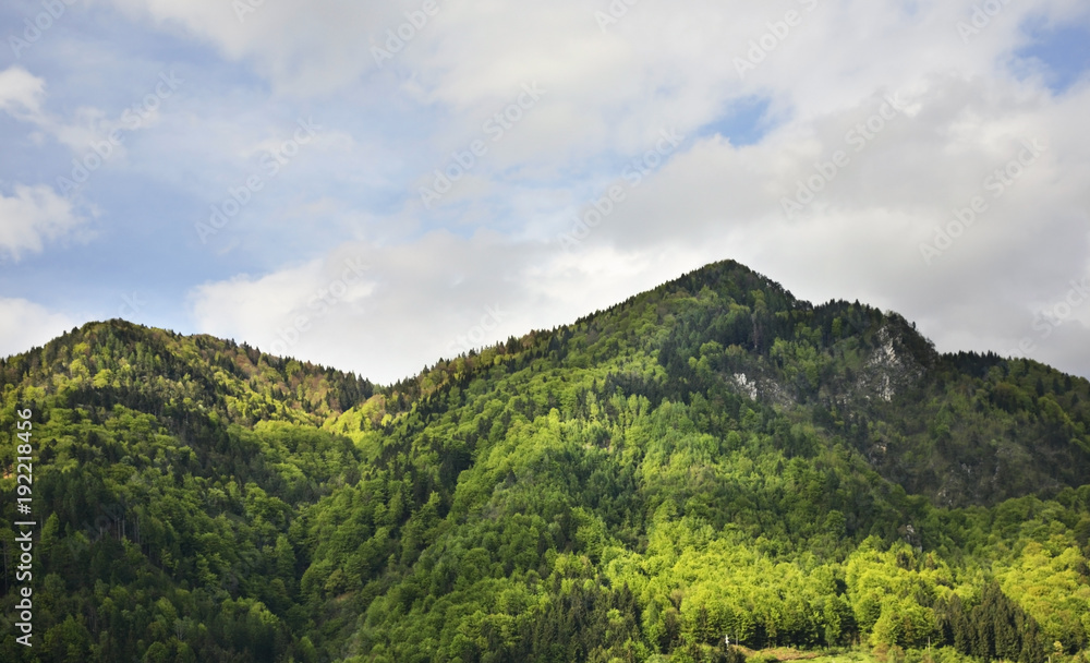 View of mountain near Bled. Slovenia