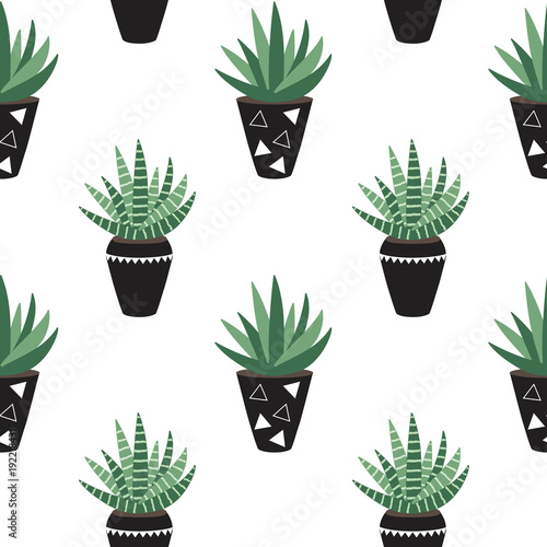 green house plants in the black pots sansevieria scandinavian style boho seamless pattern vector