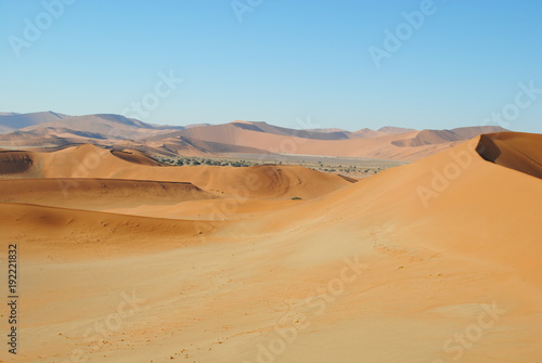 Wüste Namibia - Kalahari
