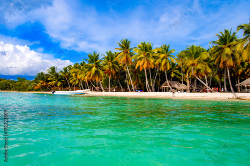 Fototapeta Naklejka Na Ścianę i Meble -  Dominican Republic, Saona island in the Caribbean Sea.