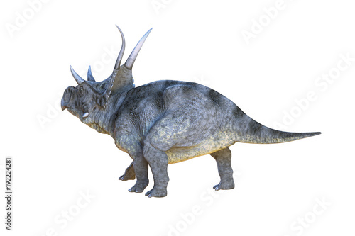 3D Illustration of the Diceratops dinosaur on white background © de Art