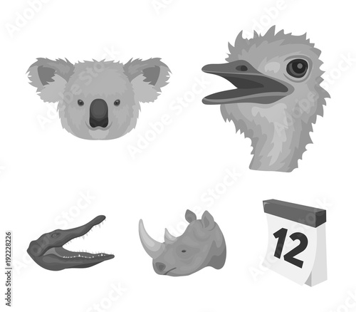 Ostrich, koala, rhinoceros, crocodile, realistic animals set collection icons in monochrome style vector symbol stock illustration web. photo