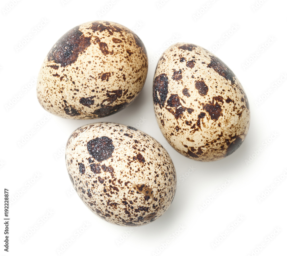 Quail Eggs Isolated on White Background Quail Eggs Isolated on White Background