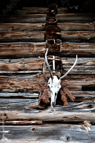 Deer head trophy with a wooden cross on a stable