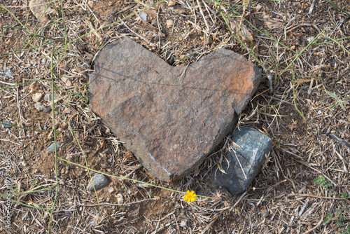 Heart of Stone  photo