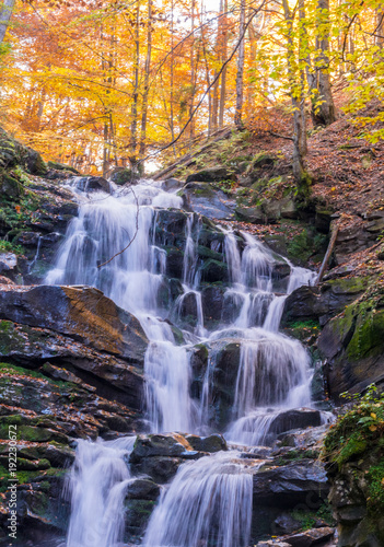 Waterfall in the forest. Autumn in the forest.