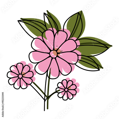 flower and leafs floral decoration vector illustration design