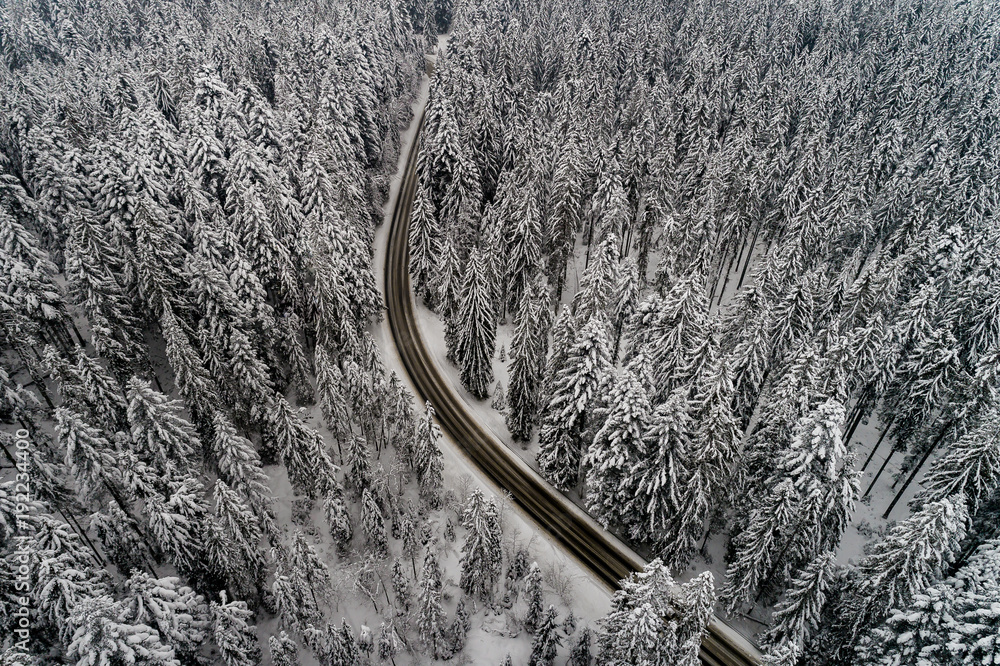 zima droga w lesie
