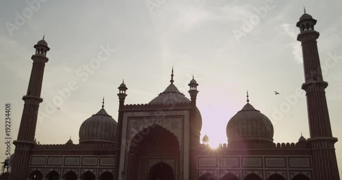 Low angle, birds fly over Taj Mahal in slow motion