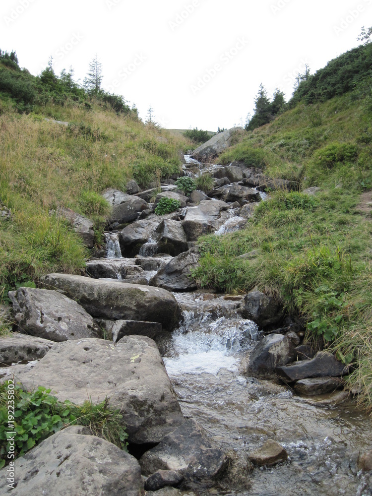 Mountain stream