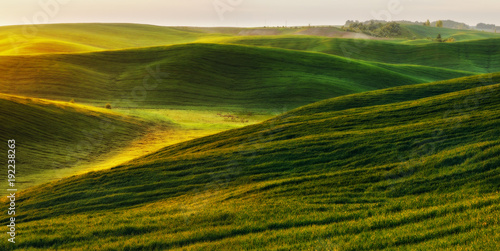Green field. picturesque hills. beautiful spring field © sergnester