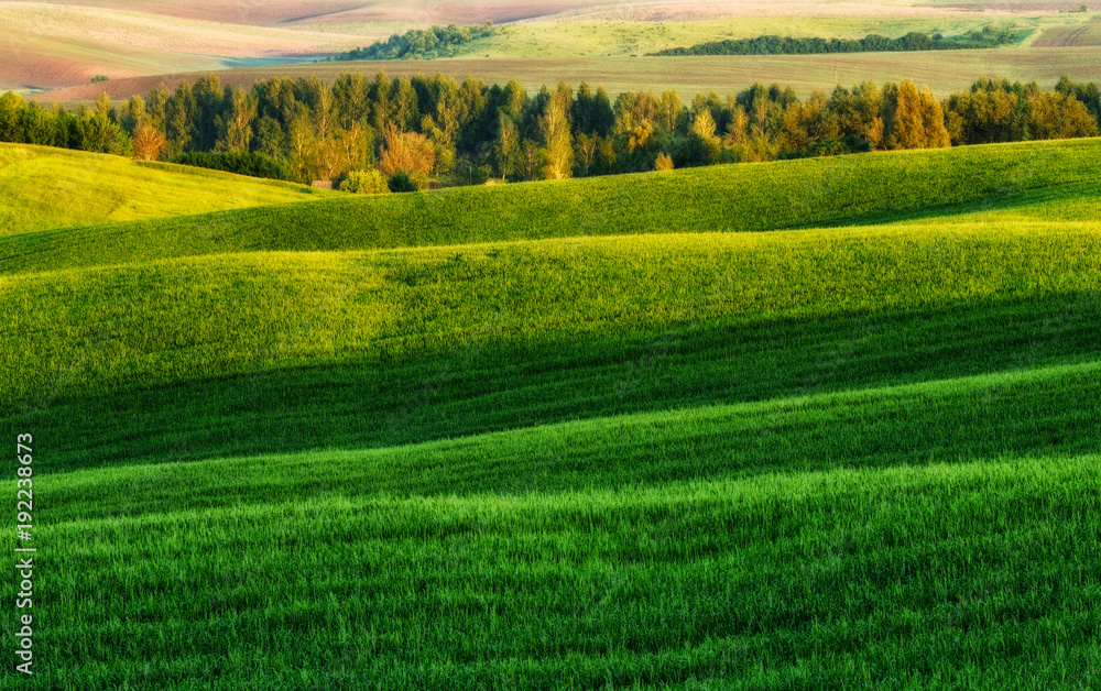 Green field. picturesque hills. beautiful spring field