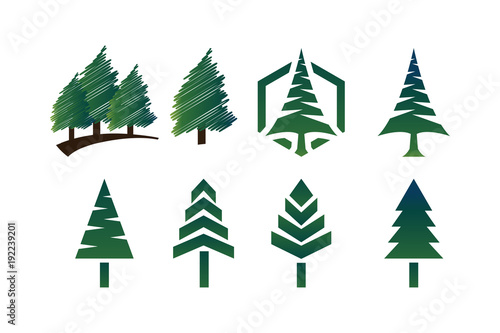 Tela Collection of green pine tree template vector